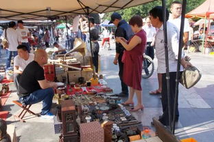 300多件藏品 300多位藏友齐聚江苏大型鉴宝会 这位云霄人受邀成鉴定专家